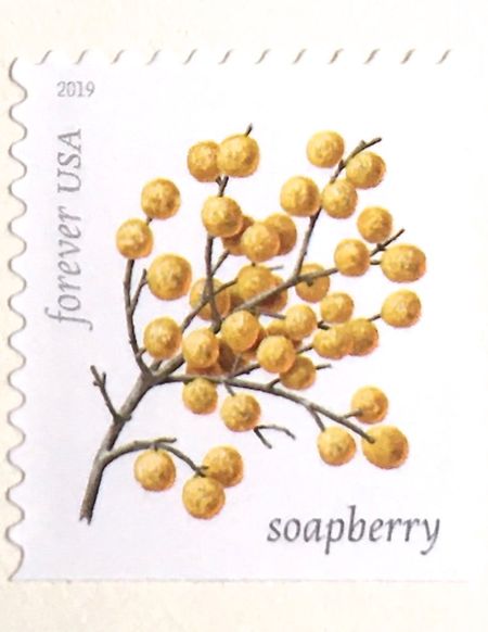 100 Gold Berry Forever Stamps Soapberry Winter Berries Yellow Postage for Mailing